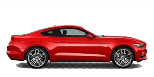 Mustang 6 Fl 1