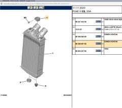 Psa Eşanjör Kelepçesi