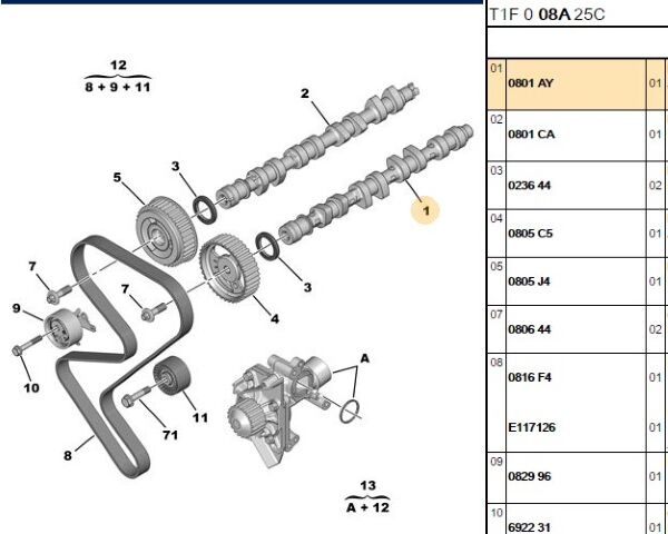 Egzantrik Mili Egzantrık Mılı (0801.AY) (,00801.V0)