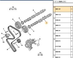 Egzantrik Mili Egzantrık Mılı (0801.AY) (,00801.V0)