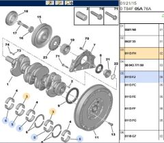 Ana Yatak Motor Rulmanı (0113.FH)