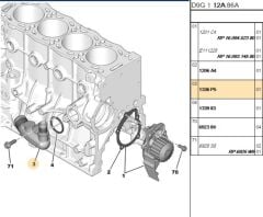 Su Kollektörü Kollektoru Dw10 307/406/partner/boxer Üretime Kapalıdır (1336.P5)