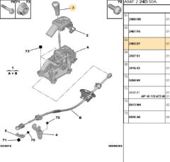 Vites Topuzu Otomatik Tüm Modeller (2403.EF)