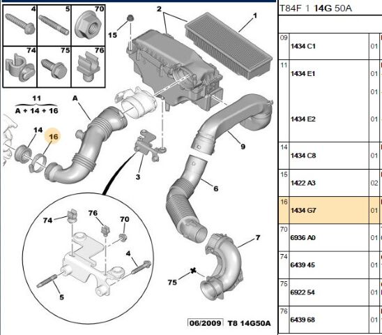 Elastik Kelepçe Dw6 207/307/308/407 (1434.G7)