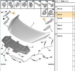 Sol Kaput Menteşe Motor Mentesesı 207 (7912.97)