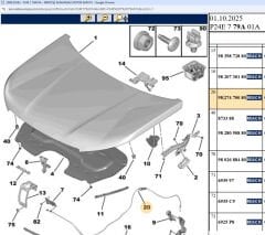 Psa Motor Kaput Halatı
