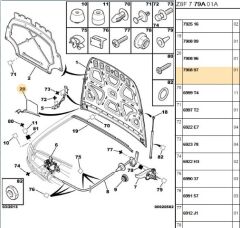 Kaput Menteşe Kapağı Mentese Kapagı 607 (7908.97)