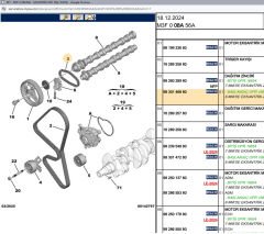 Psa Eksantrik Zinciri 9826028980