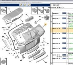 Psa Koyu Renkli Arka Cam