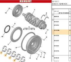 21/2 Ana Yat Tk Yatak Sarı Nemo (0113.EW) (,095511259)