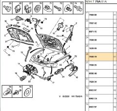 Agraf 306 (7938.19)