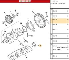 21/2 Ana Yat Tk Yatak C1 (0113.T9)