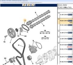 Psa Triger Eksantrik Zinciri 9830146880 3556998