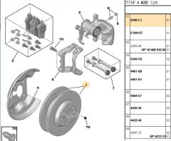 Arka Fren Disk Tk (takım) 407-508-607 (4249.C1) (,01618861880,4246.P9)