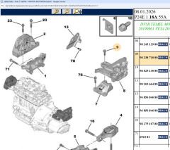 Psa Motor Kulak Vidası