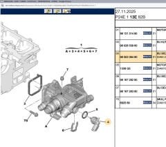 Psa Su Sıcaklık Müşiri 3639913