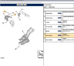 Psa Mnifold Muhafazası Somunu