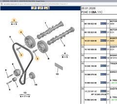 Psa Emme Eksantrik Mili Dişlisi Ve Vidası 39165709